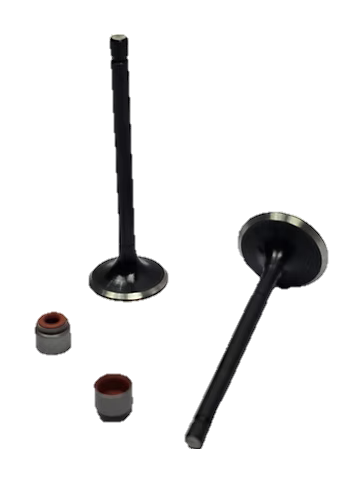 ENGINE VALVE KIT COMPACT